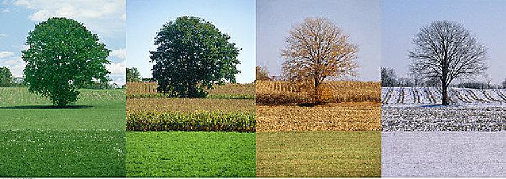 《巴比伦的陨落》PC版同时在线玩家降至1人