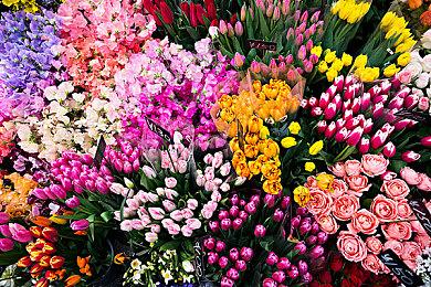 《真·女神转生Ⅴ Vengeance》最新宣传片公开！ 下载版全平台开启预购